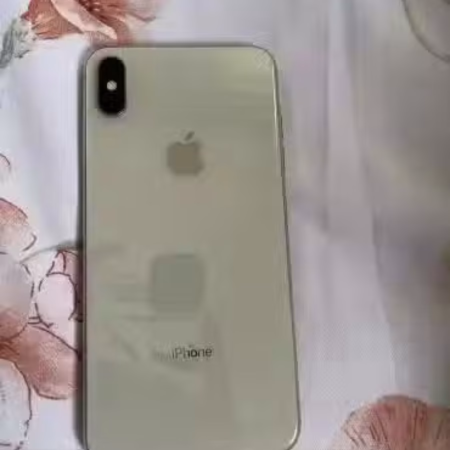 苹果10XMAX 256 图片 1