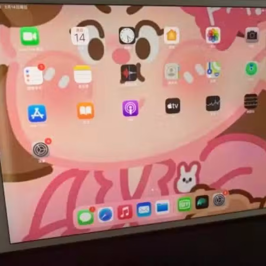 ipad pro 10.5 寸 256 GB 图片 4