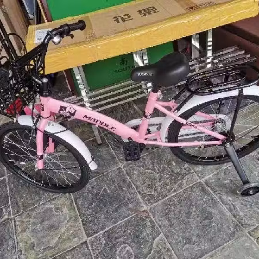 便宜转让全新自行车$100起 图片 3