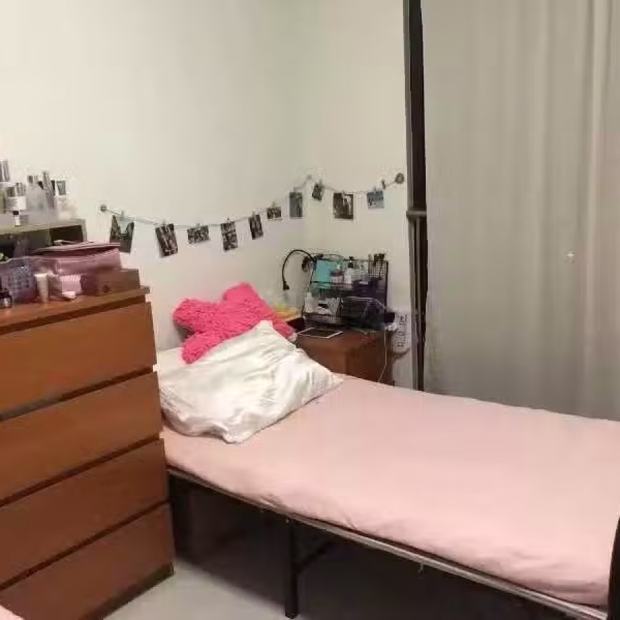 两张单人铁床 图片 1
