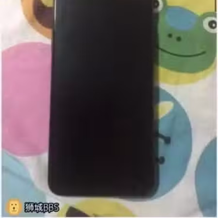 苹果Xsmax256G 图片 2