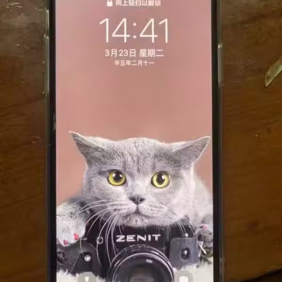 苹果11promax256G 图片 2