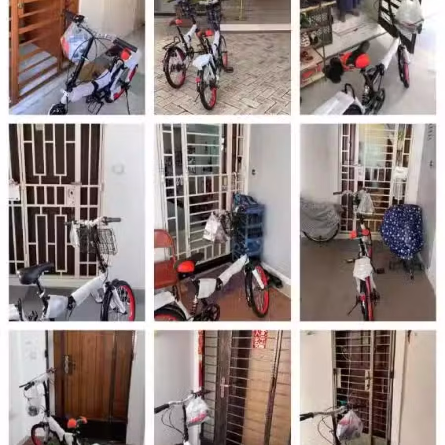 VMAX折叠自行车20寸变速|成年男女 图片 3