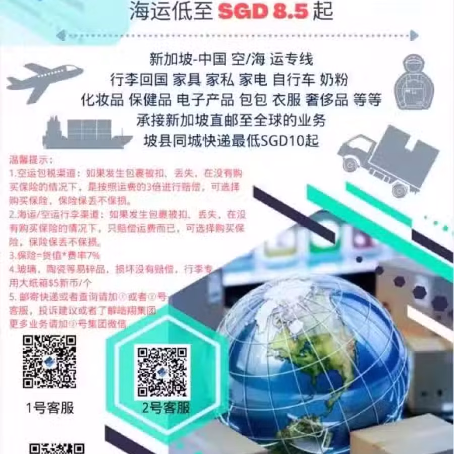  新加坡-中国，空/海运 专线物流，一流的服务，顺利的邮寄，舒心的接收 图片 1