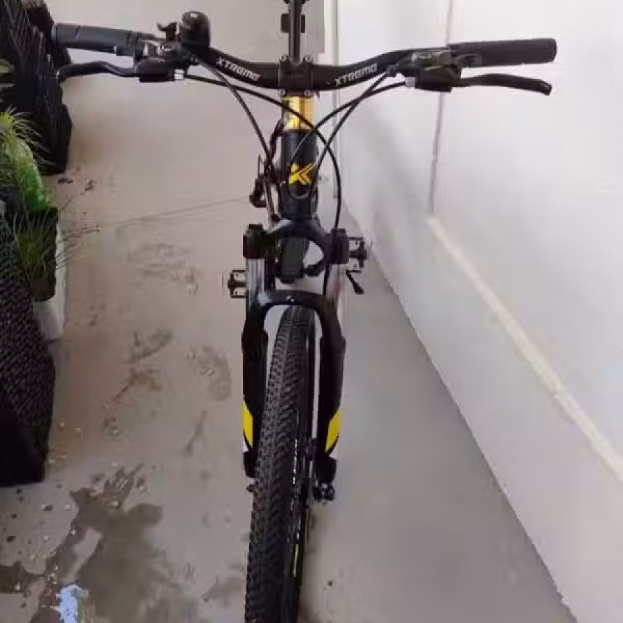 自行车9成新 图片 2