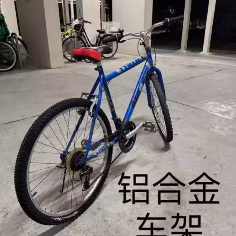 二手脚踏车 图片 1