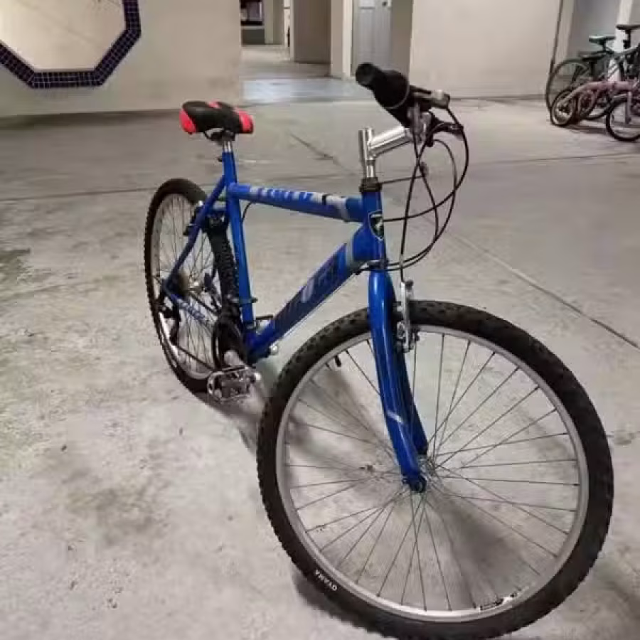 二手脚踏车 图片 3