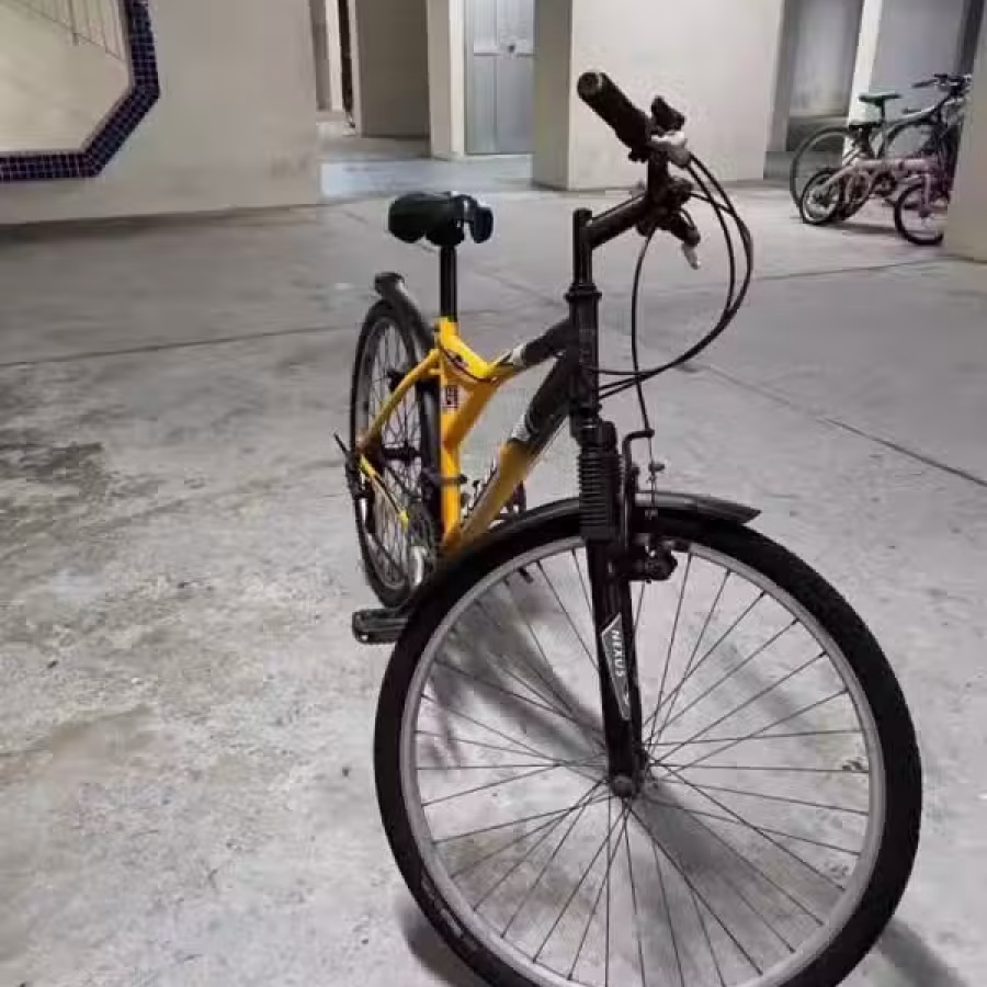 二手脚踏车 图片 4