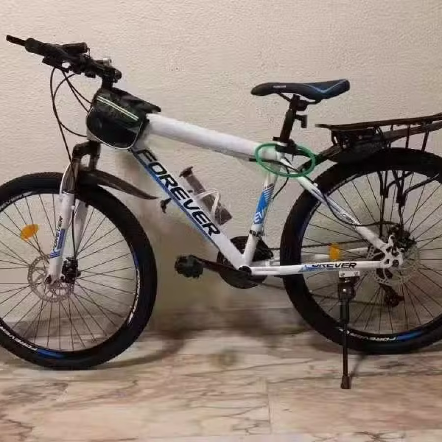 26寸永久自行车 图片 2
