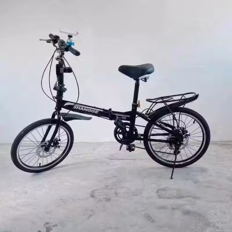 21寸变速自行车 图片 2