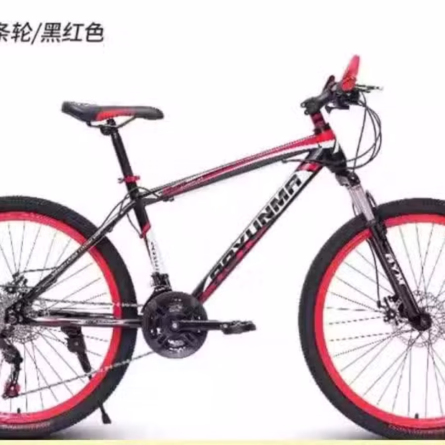 26寸21速 图片 5