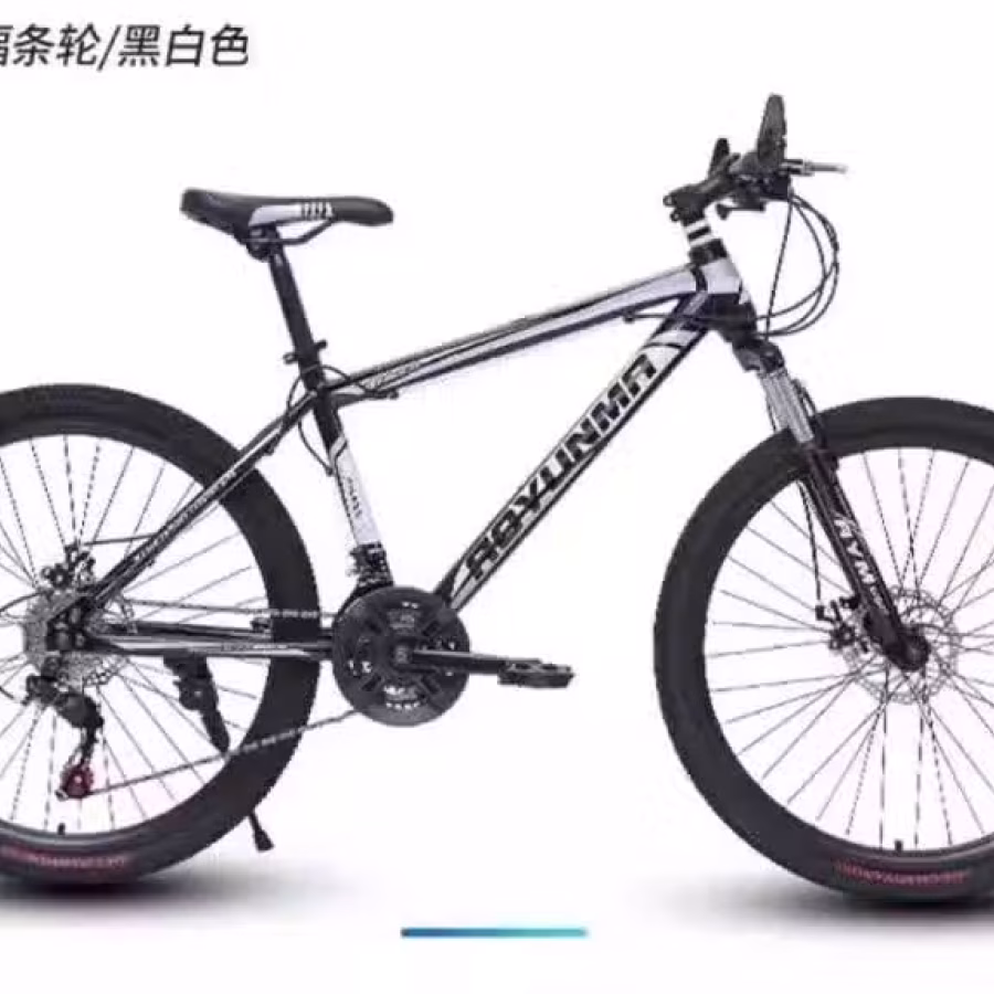 26寸21速 图片 2