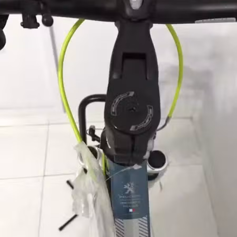 全新自行车Peugeot 法国制造 图片 2