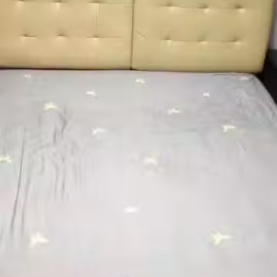 双人床 图片 1