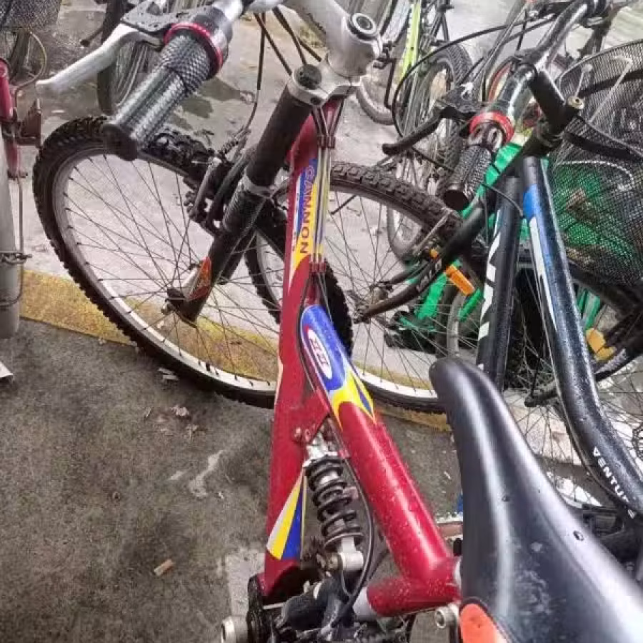 9成新自行车 图片 2