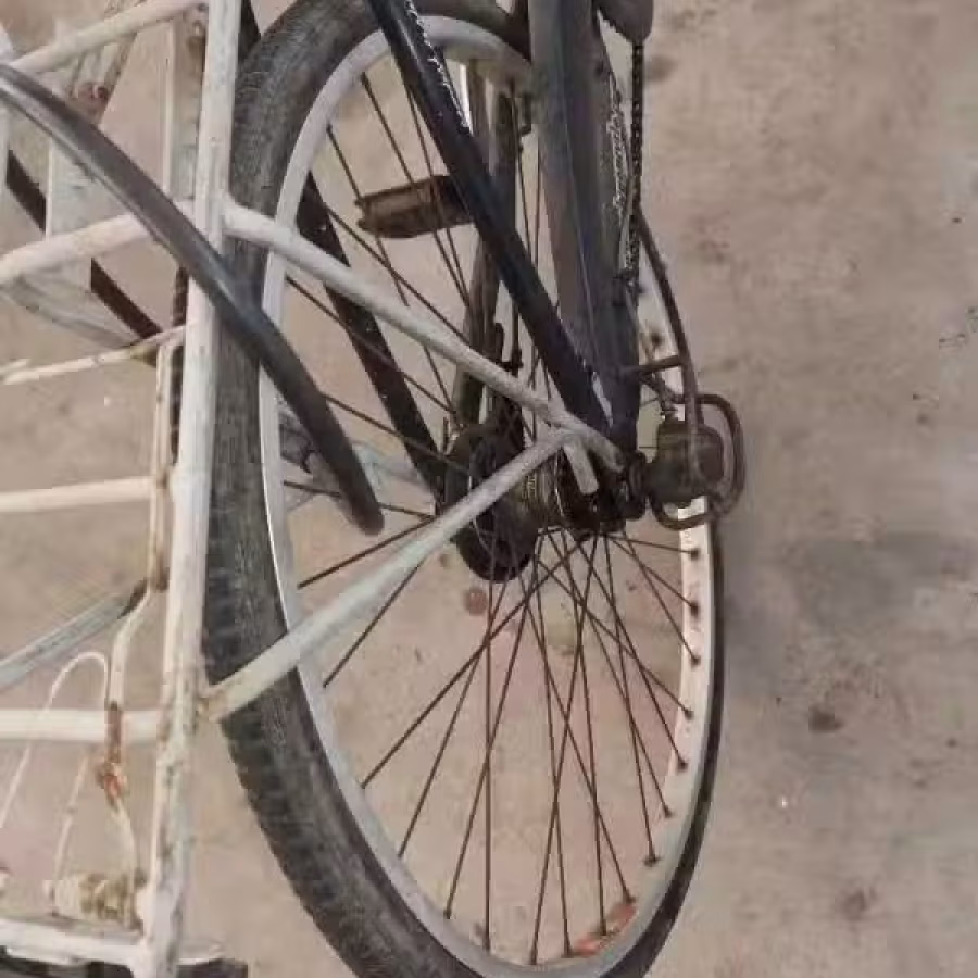 二手自行车 图片 2