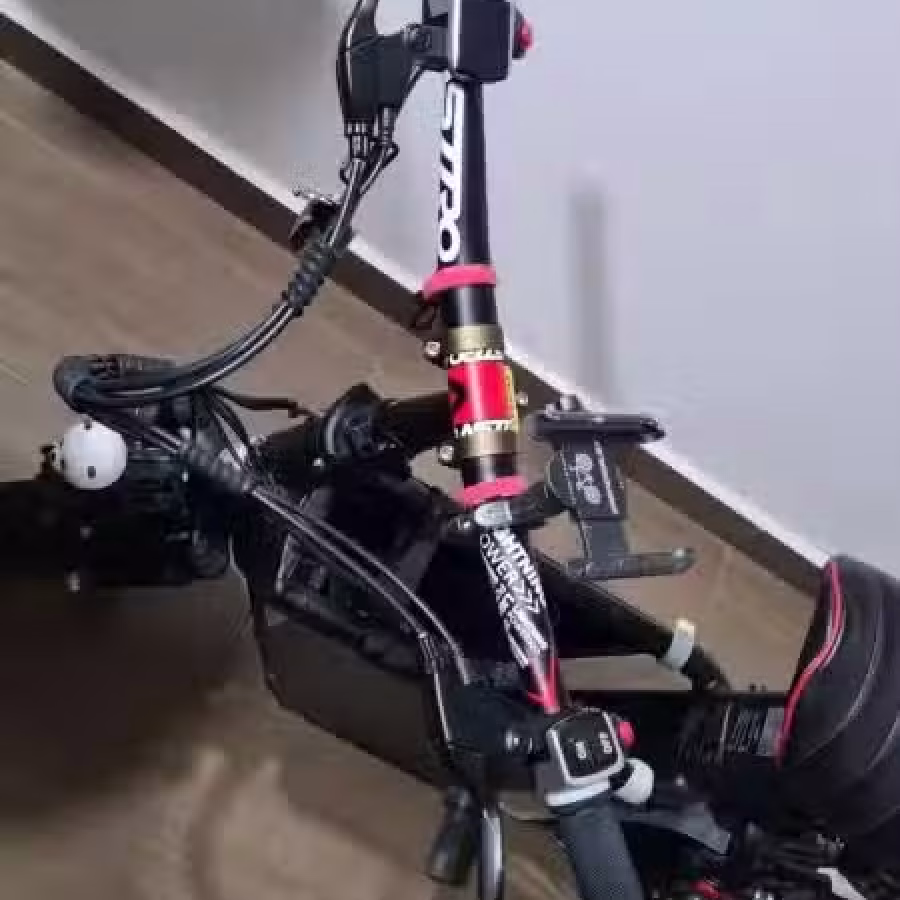 Fiido 电动车 LTA批准 图片 3