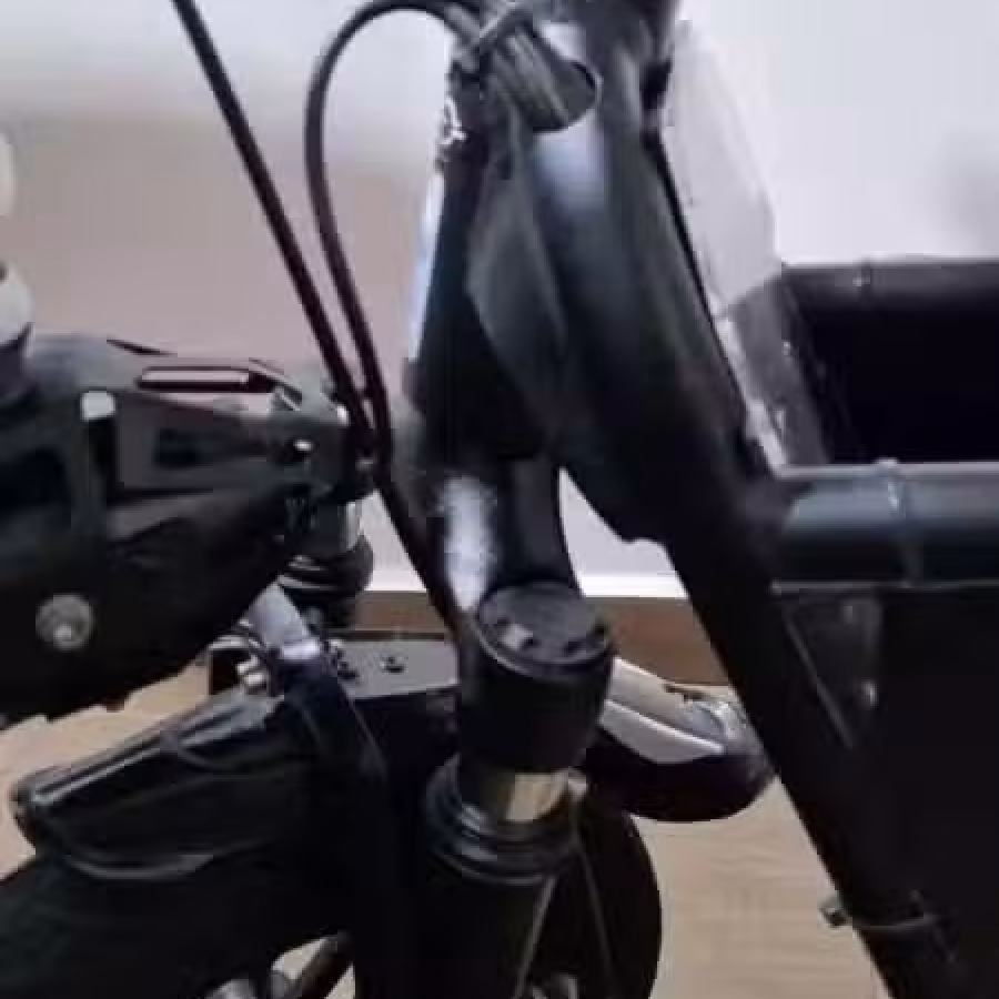 Fiido 电动车 LTA批准 图片 4
