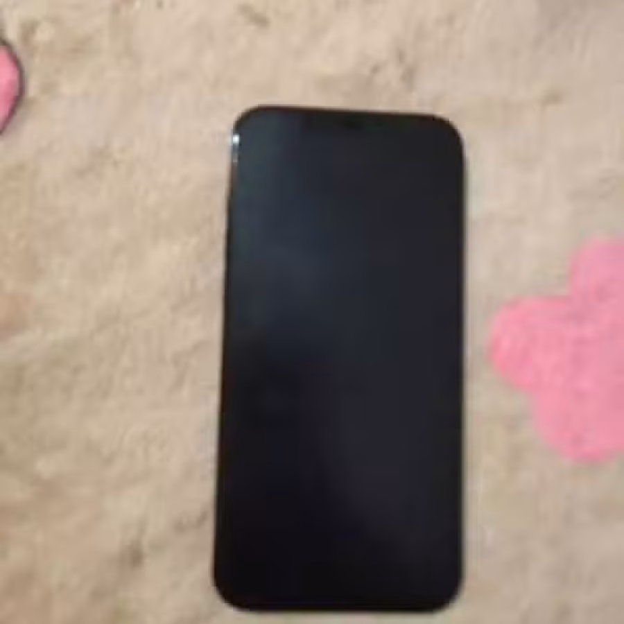 苹果12 por max 128GB 图片 2