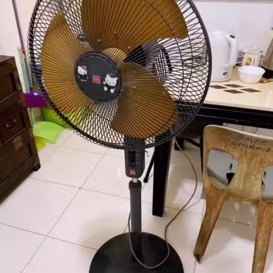搬家处理风扇自取30 图片 3