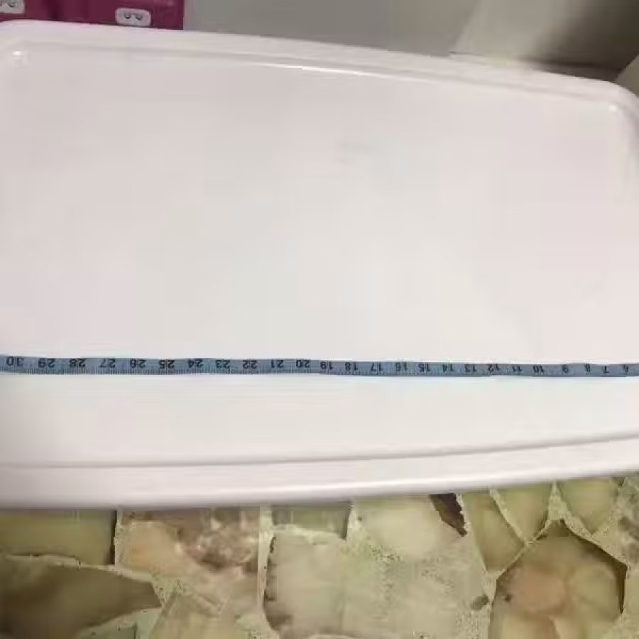 大收纳箱 图片 4