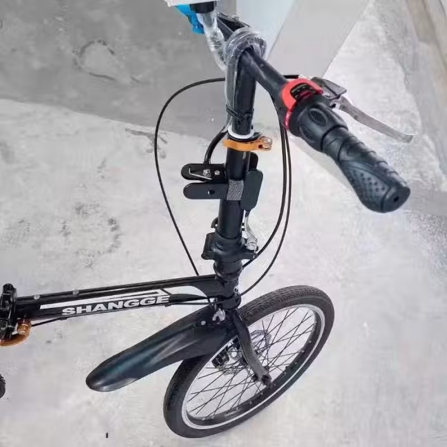21寸变速自行车 图片 2