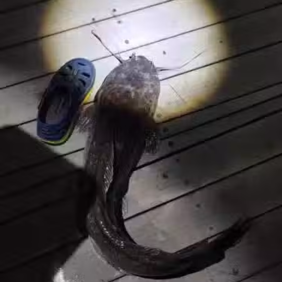 钓鱼竿 和装备 图片 7