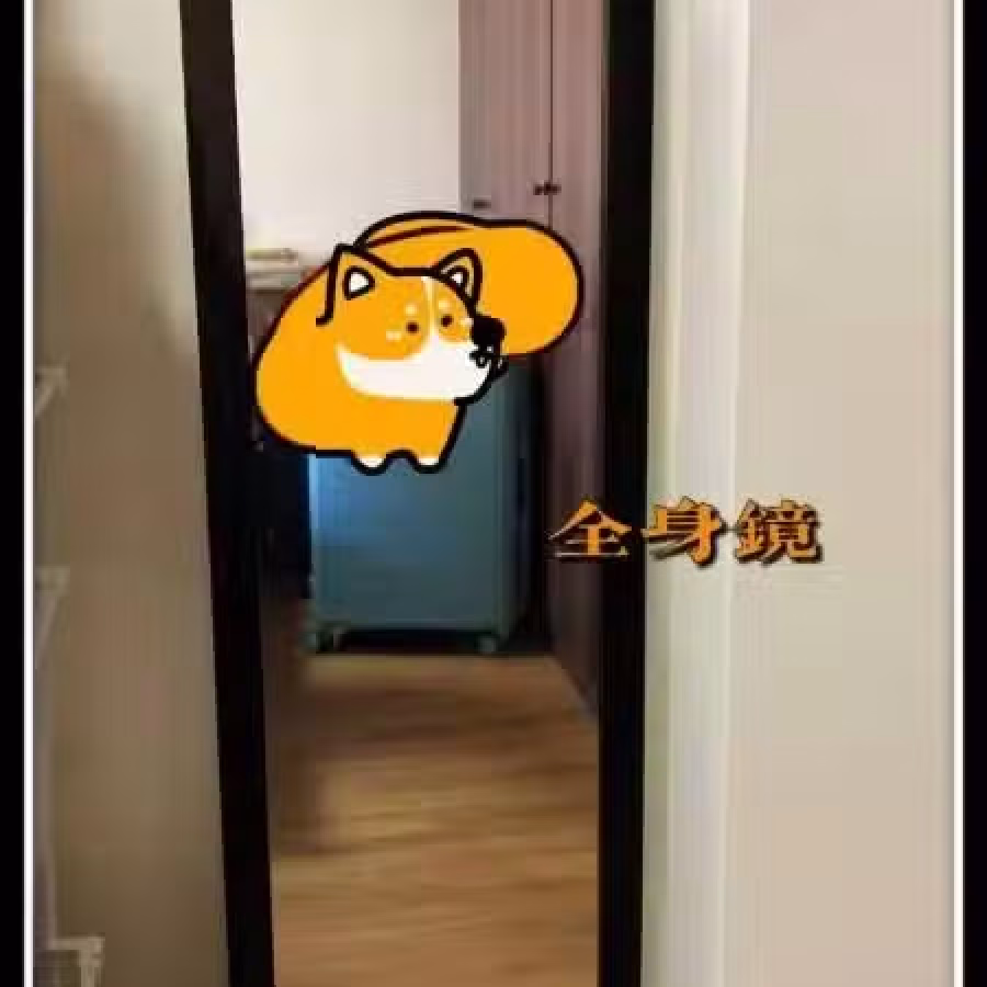 全身镜 图片 1