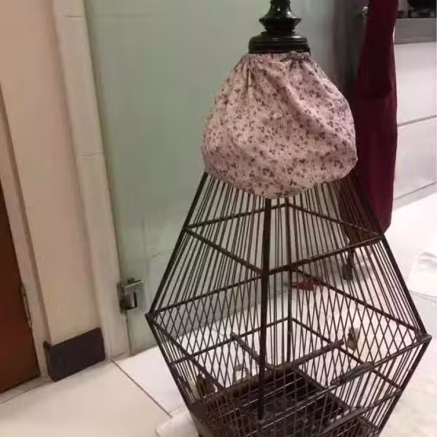 鸟笼 图片 2