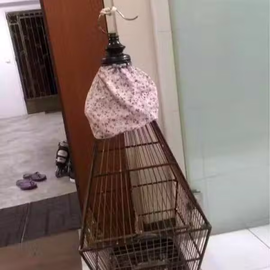 鸟笼 图片 3