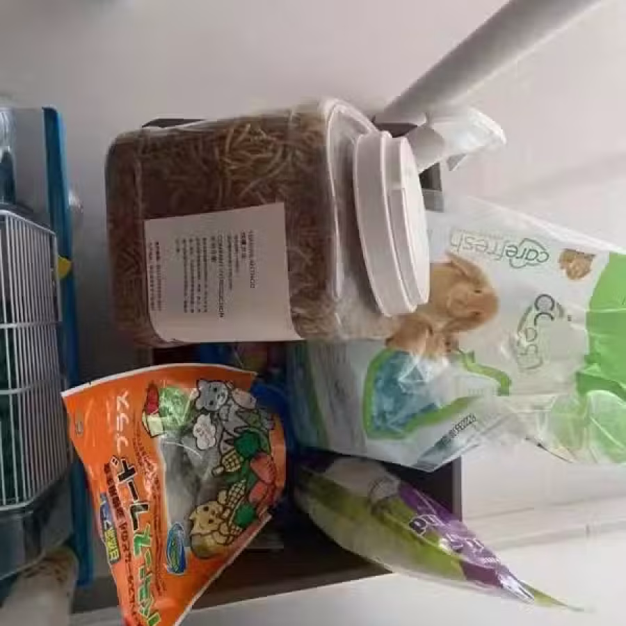 Hamster, 2 years old 图片 3