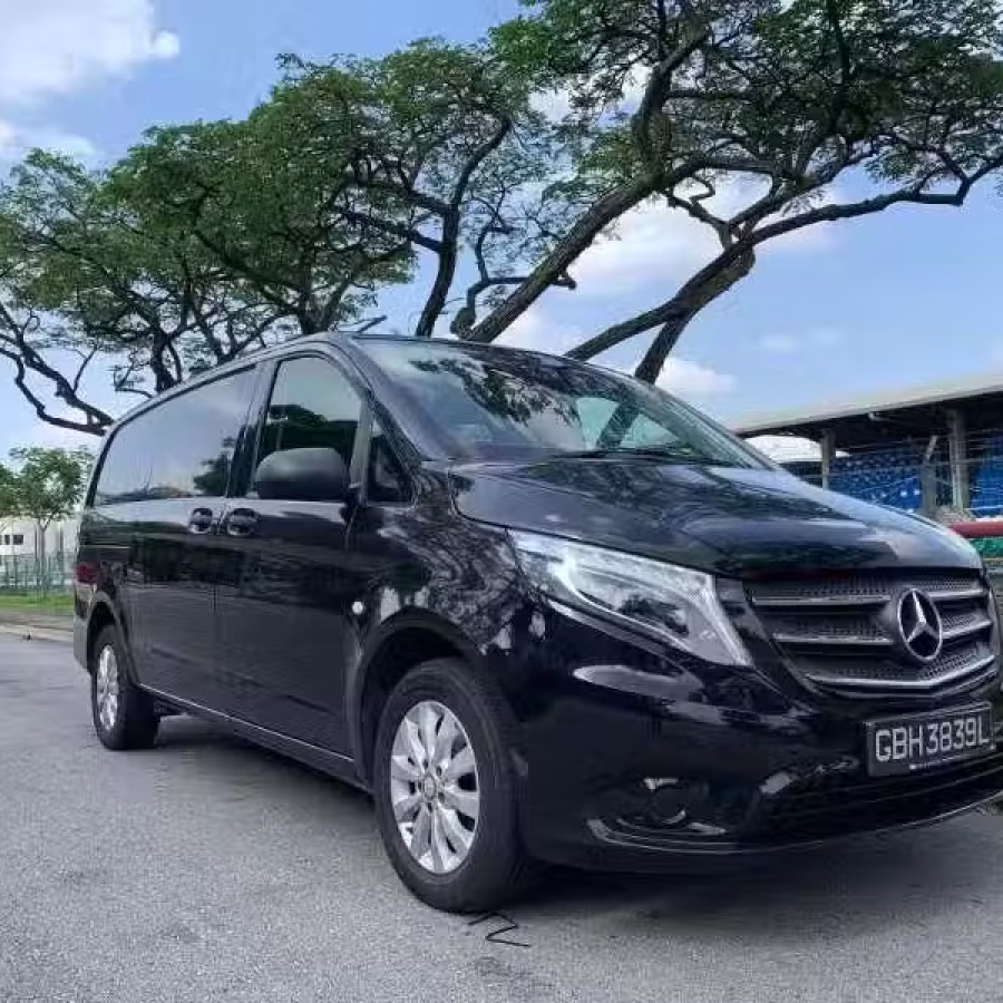 出售 奔驰 Vito 114 自动档 货车 图片 2
