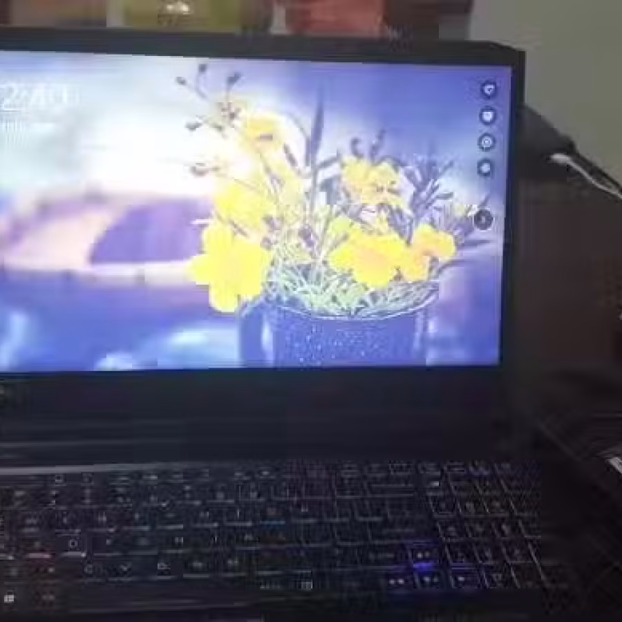 Acer Predator Helios 300 图片 3