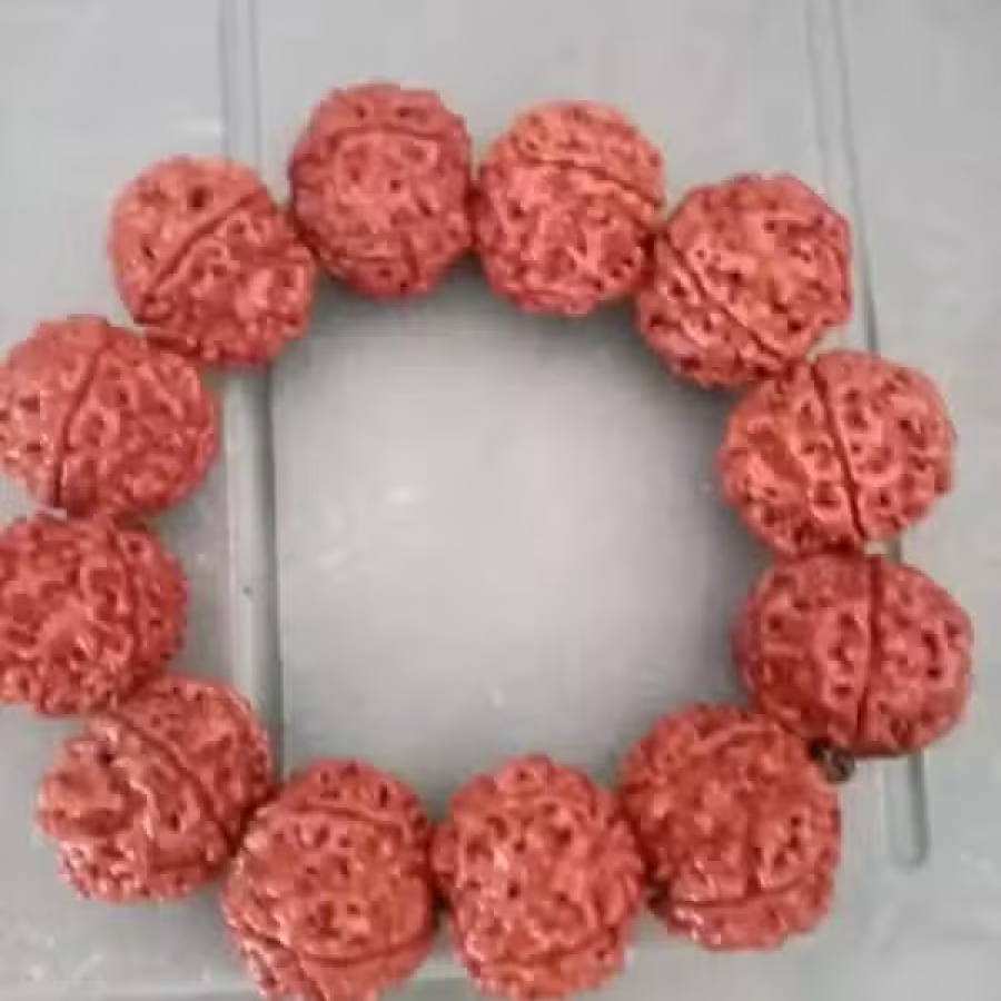 金刚菩提 图片 1