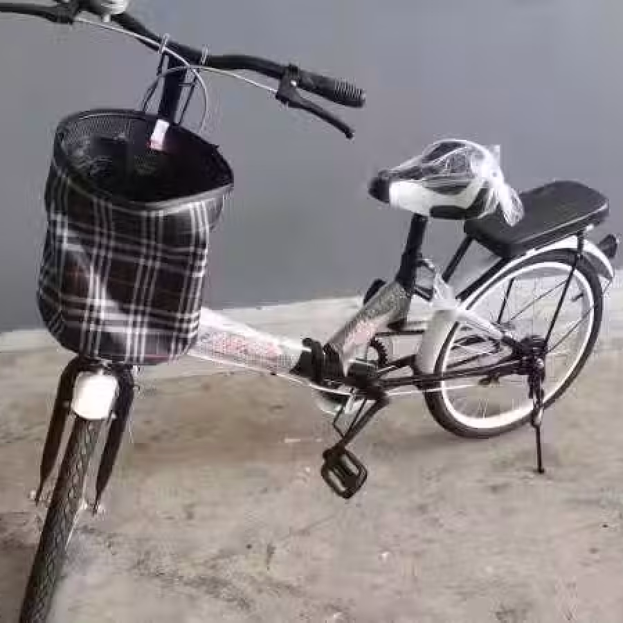 20寸单速折叠女士车 图片 2