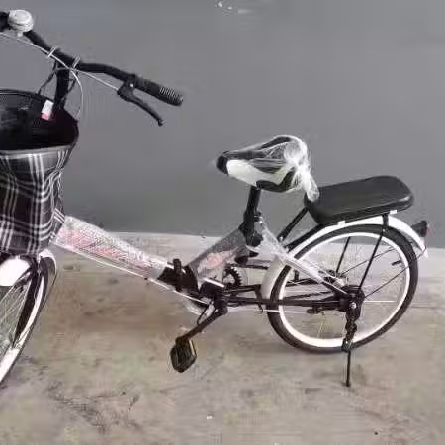 20寸单速折叠女士车 图片 4