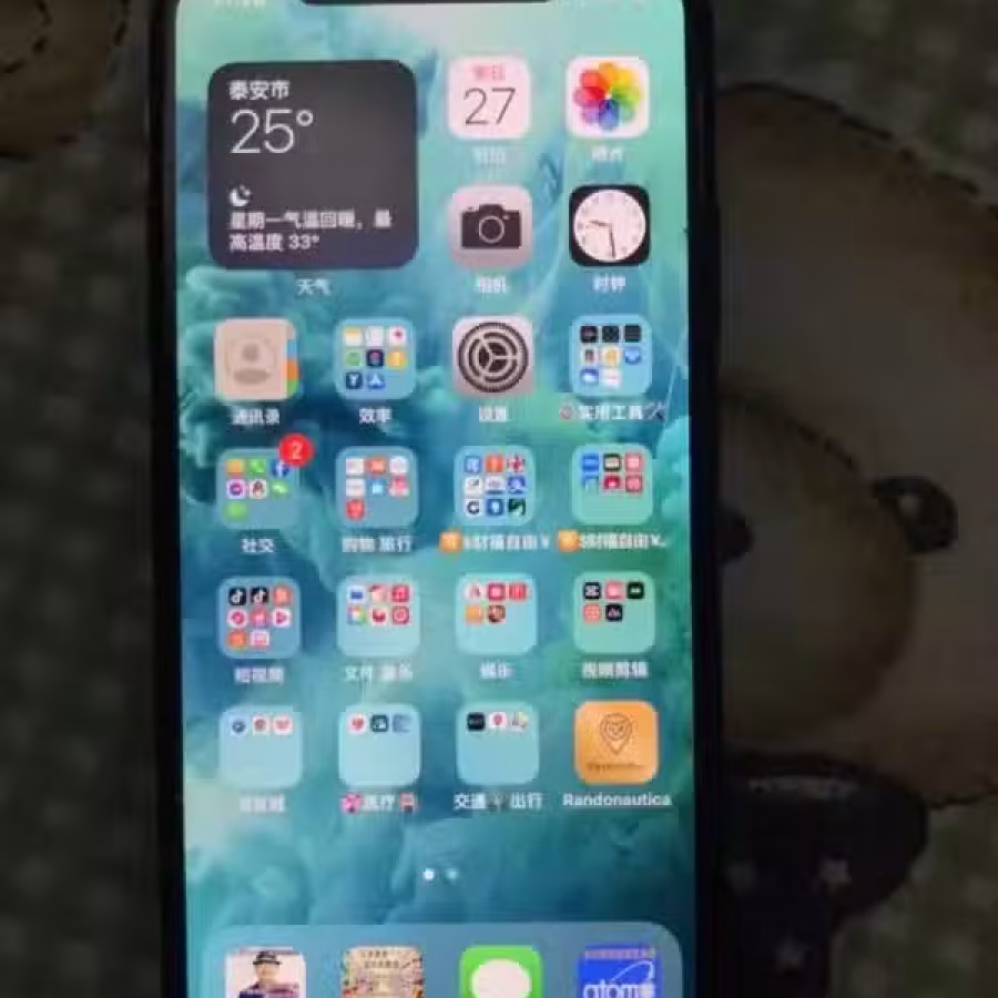 苹果X 图片 6