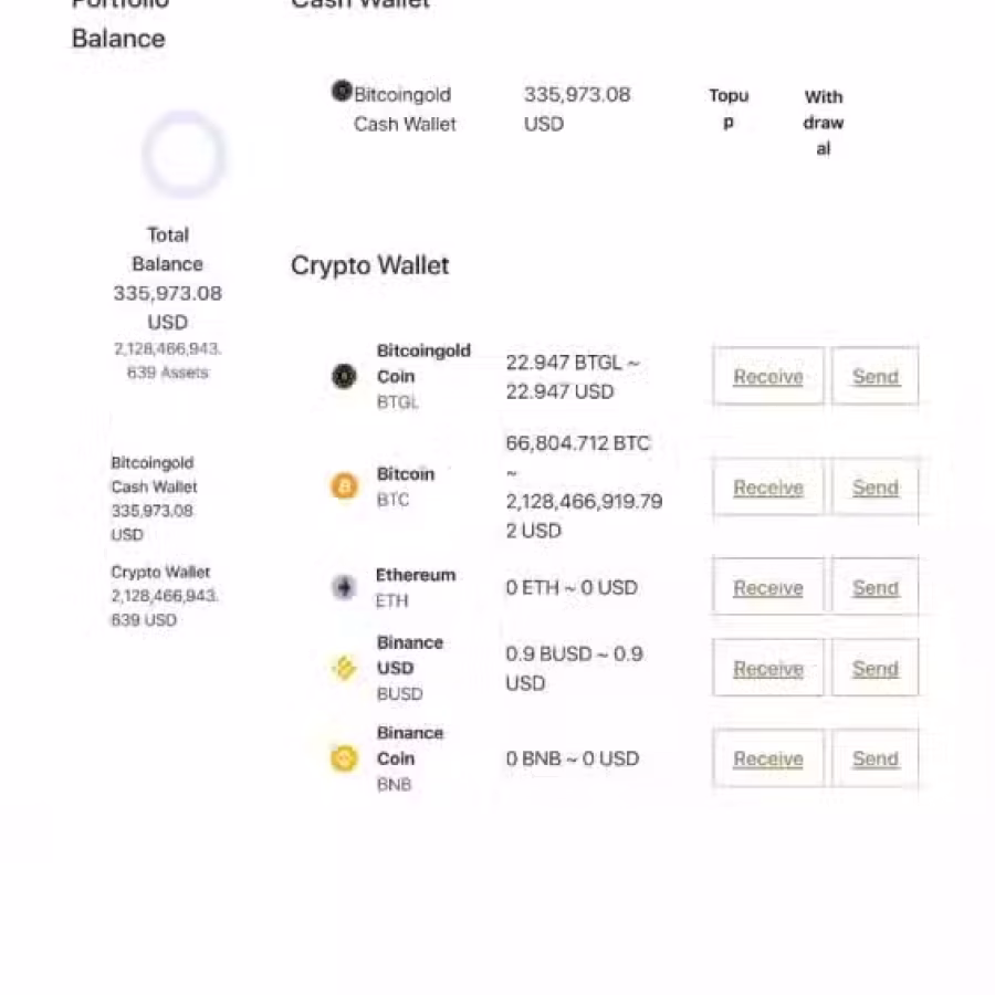 比特币黄金 us1;第 36 个月比特币-gold.live 在纳斯达克 IPO 图片 1