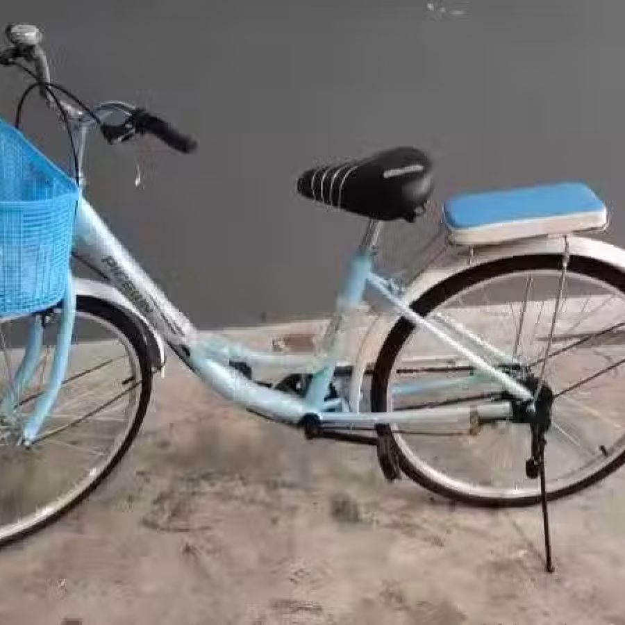 26寸女神变速复古自行车 图片 2