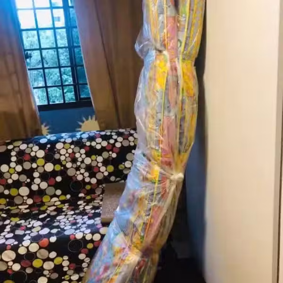 单人床垫 图片 2