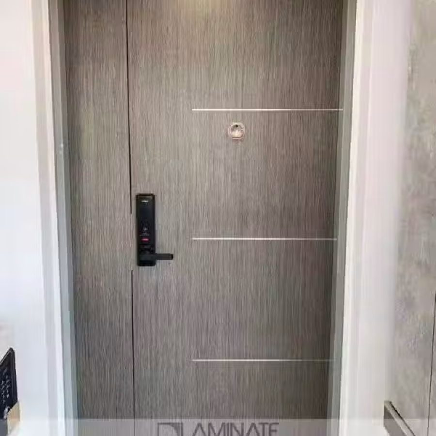 HDB/BTO/Condo 4x7ft 大门 图片 8