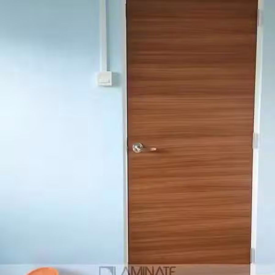 房间门 图片 4