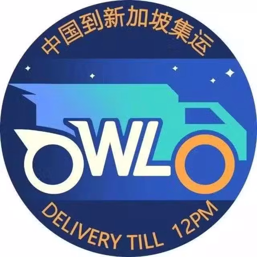 中国往返新加坡（双向物流国际搬家 货物，行李寄存） 图片 2