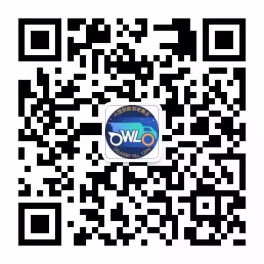 中国往返新加坡（双向物流国际搬家 货物，行李寄存） 图片 5