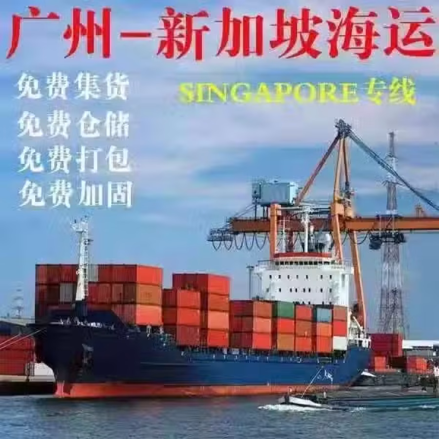 中国往返新加坡（双向物流国际搬家 货物，行李寄存） 图片 6