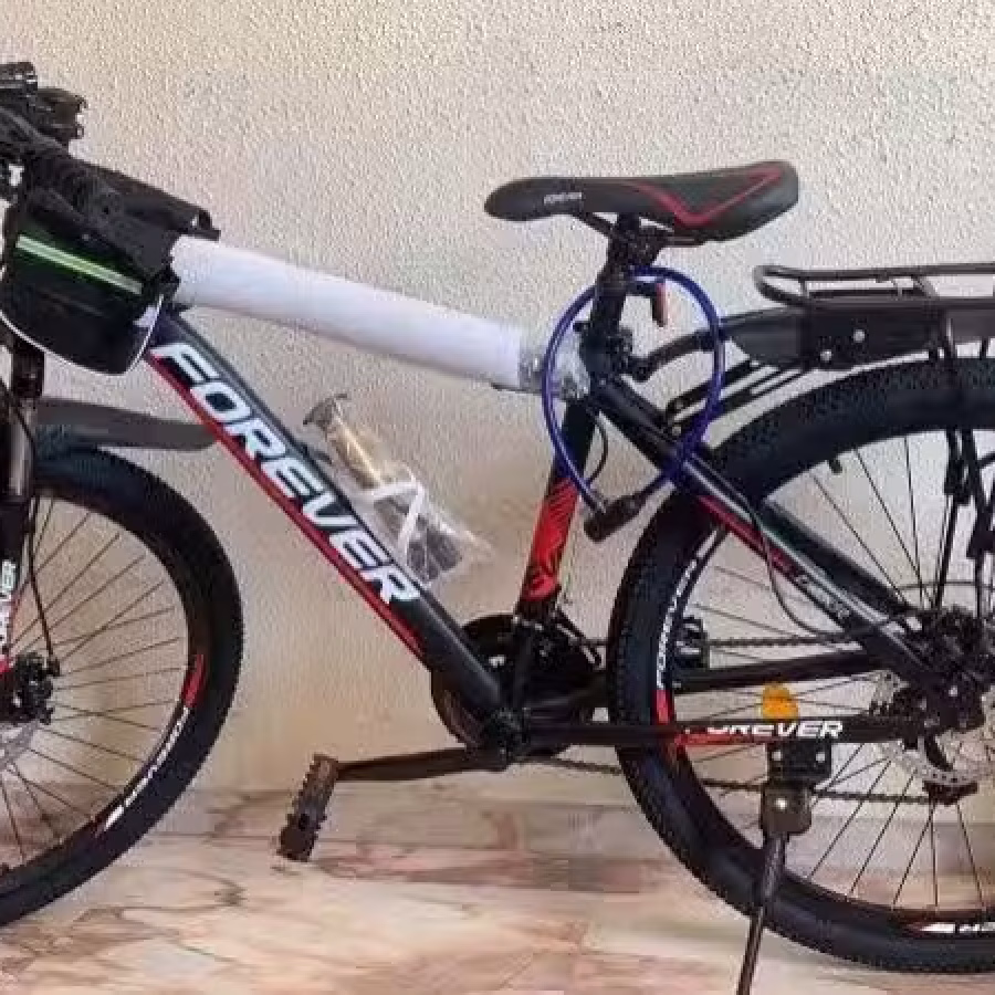 永久自行车 图片 3
