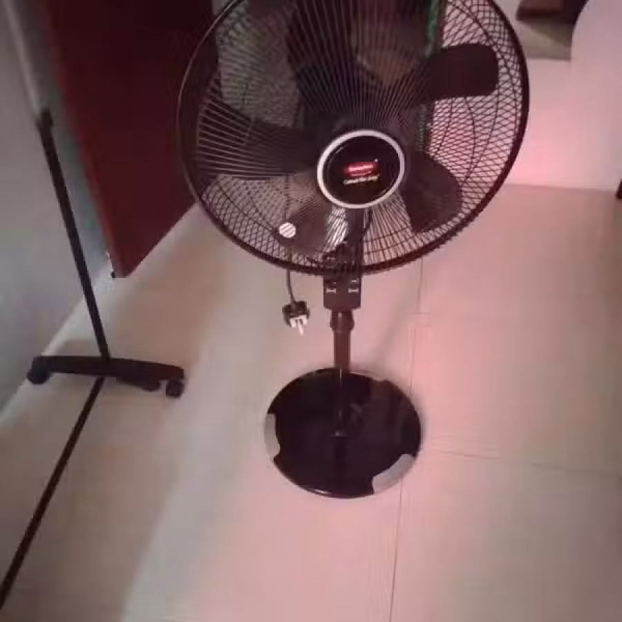  风扇 图片 1