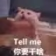 BaiShiDa