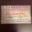 Tong Tong 桐桐