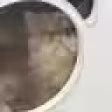 yoyo